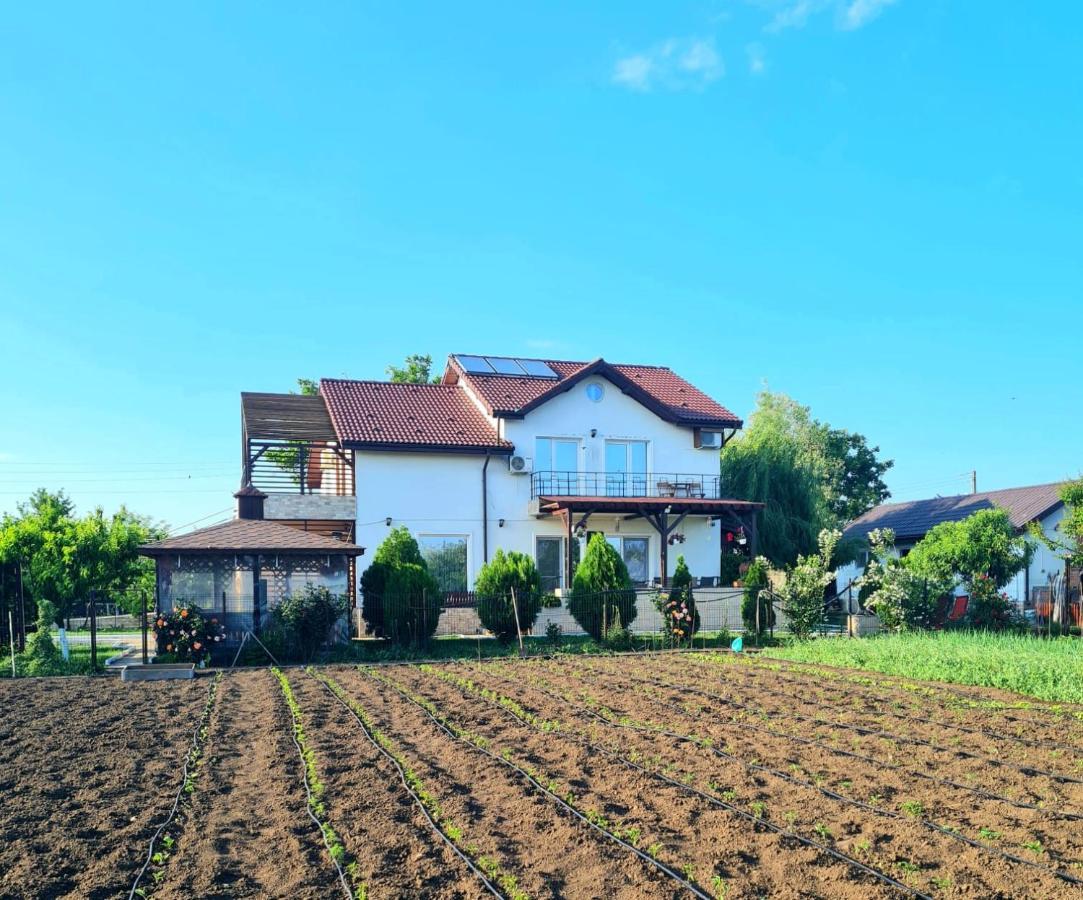 Nobless Villa Mereni  Exterior photo